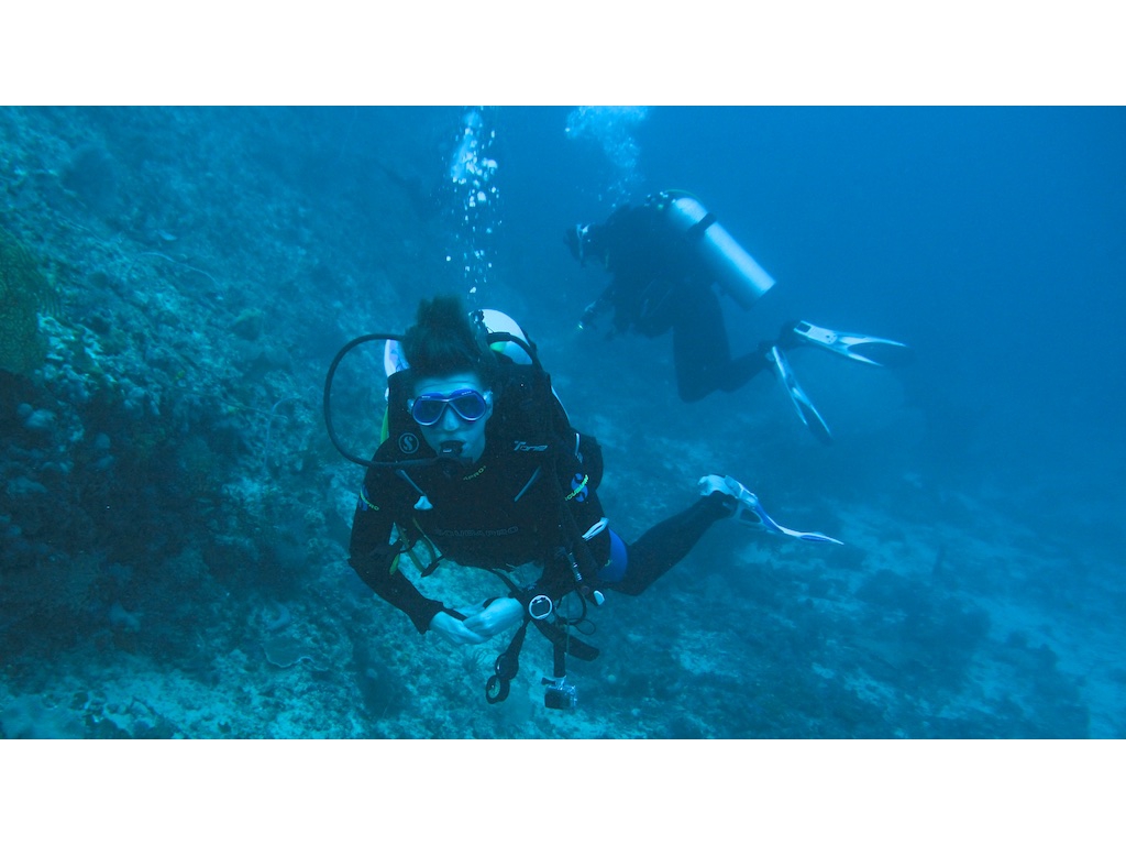 PN140088 - Version 2 PN140088 - Version 2